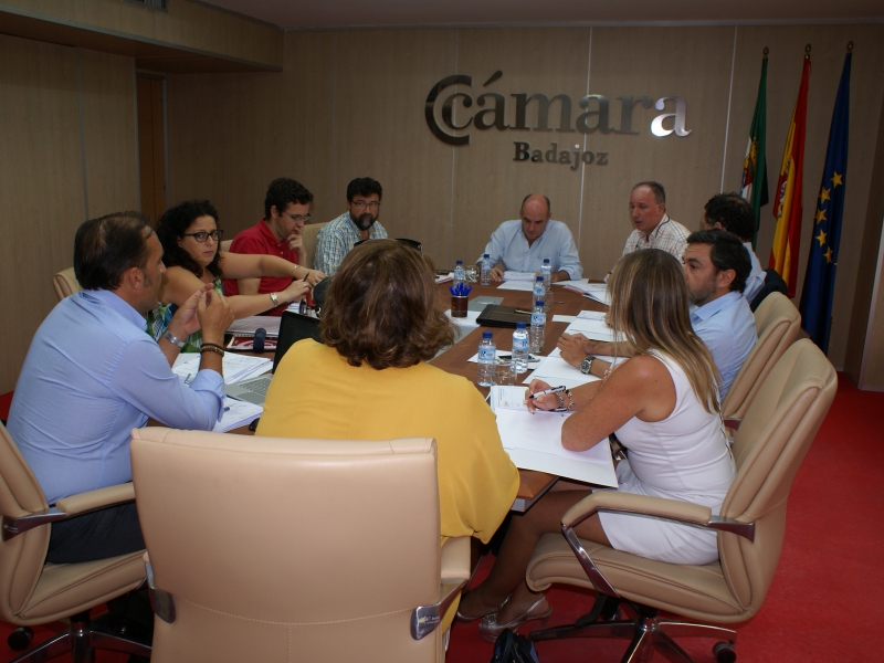 Reunión del Comité Ejecutivo de la Cámara