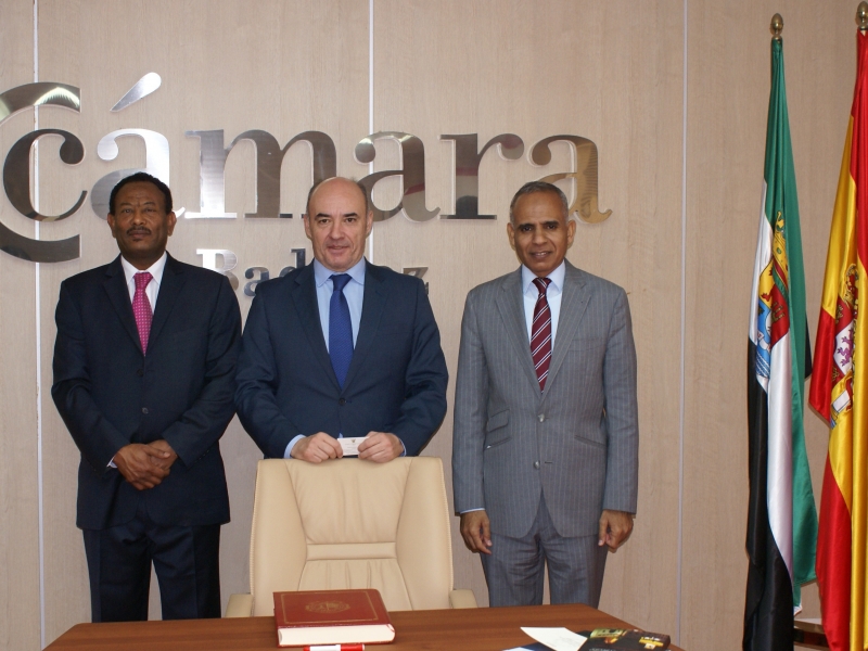 Visita de los embajadores de Mauritania y Sudán