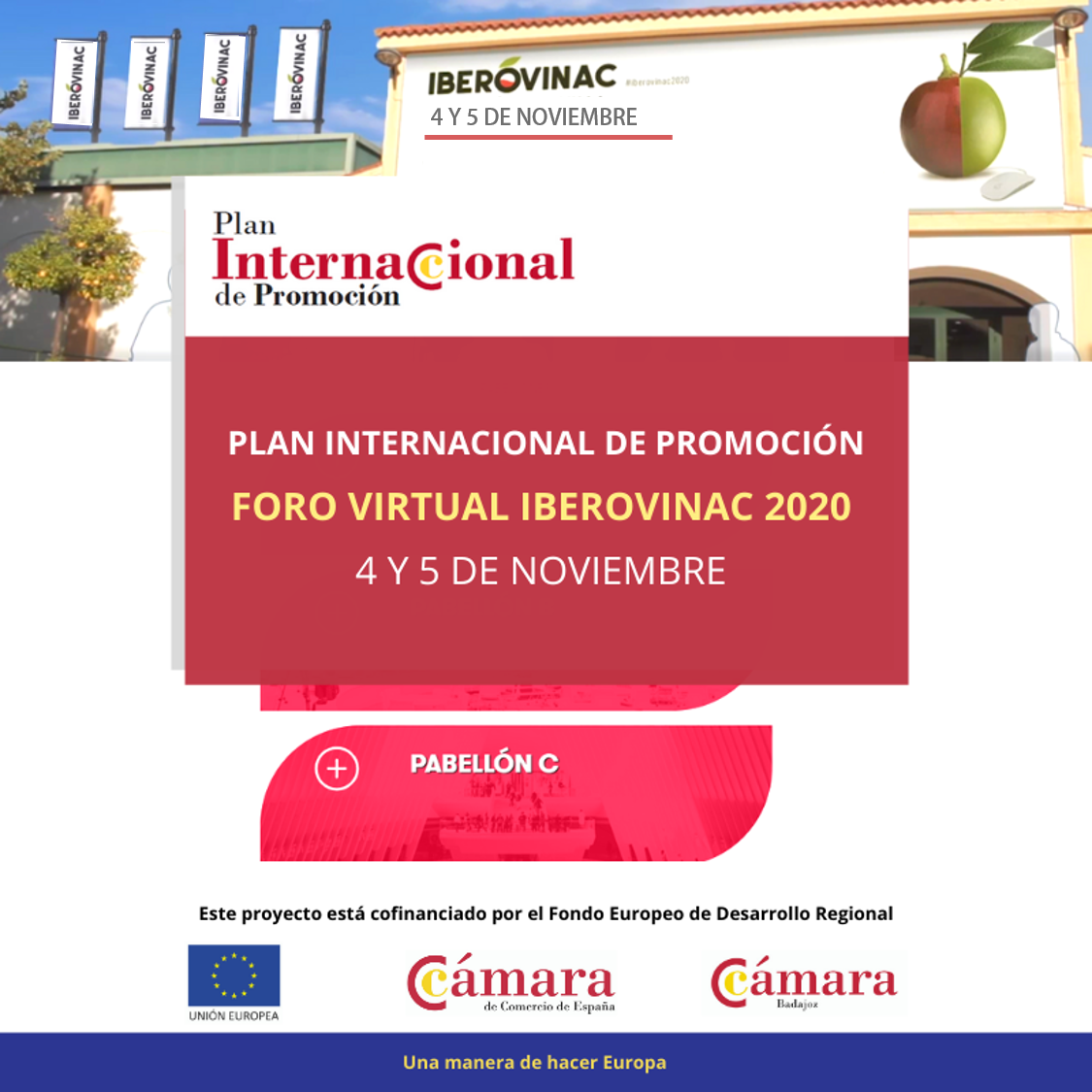 Foro Virtual Iberovinac 2020