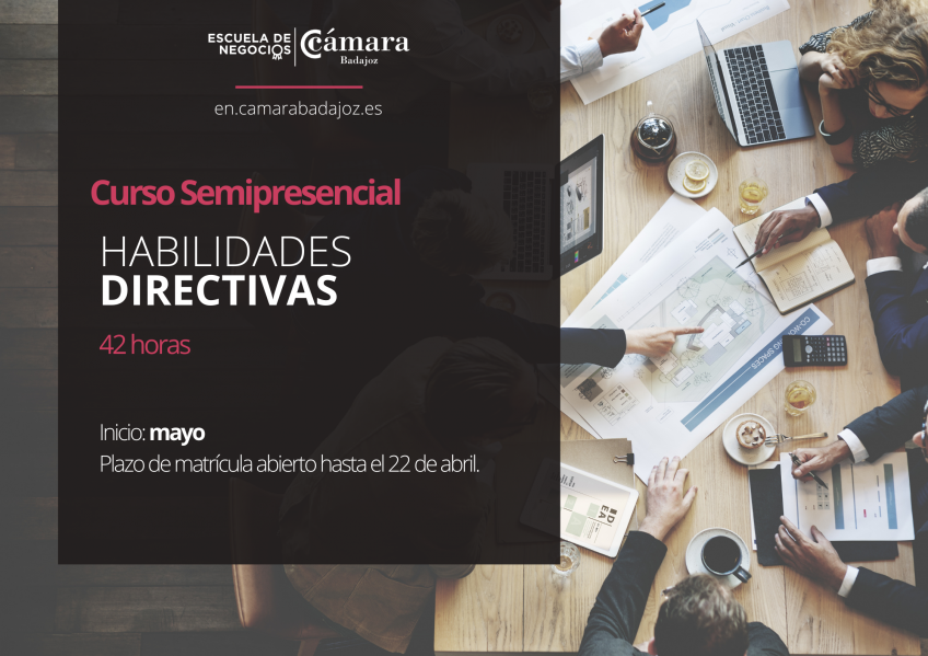 Curso Habilidades Directivas (42 horas) - Semipresencial