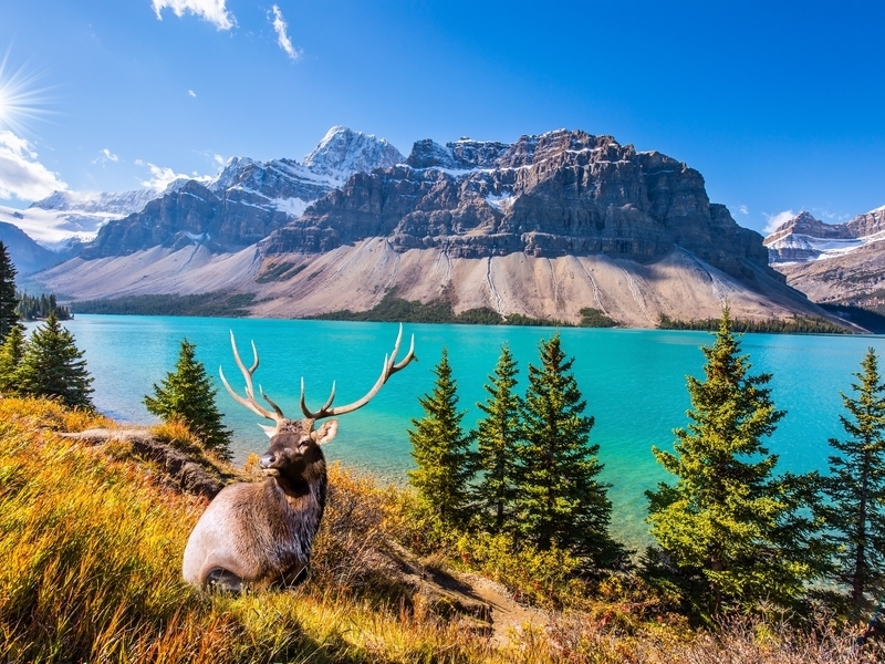 Análisis de mercados: Canadá